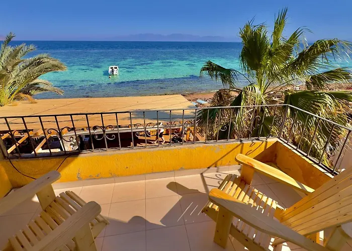 Sarda Dahab